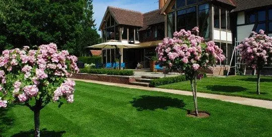 Bushy Business Garden Image