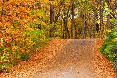 bushybusiness newsletter blog 4