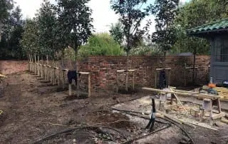 Bushy Business - Surrey Planting Project; Esher, Surrey