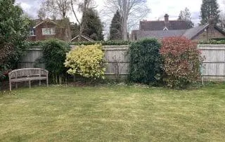 Lush and Lovely; Bramley; Surrey