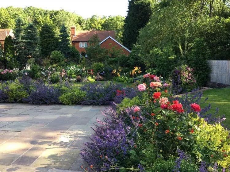 Cranleigh Care; Cranleigh; Surrey