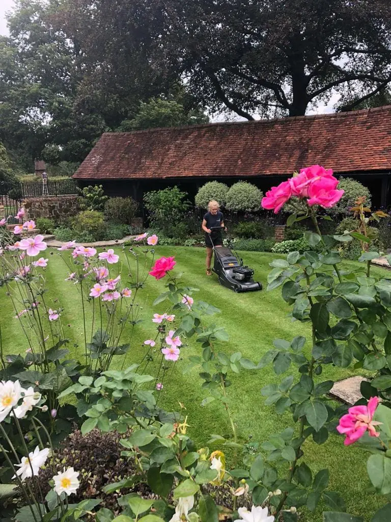 Surrey Borders Maintenance