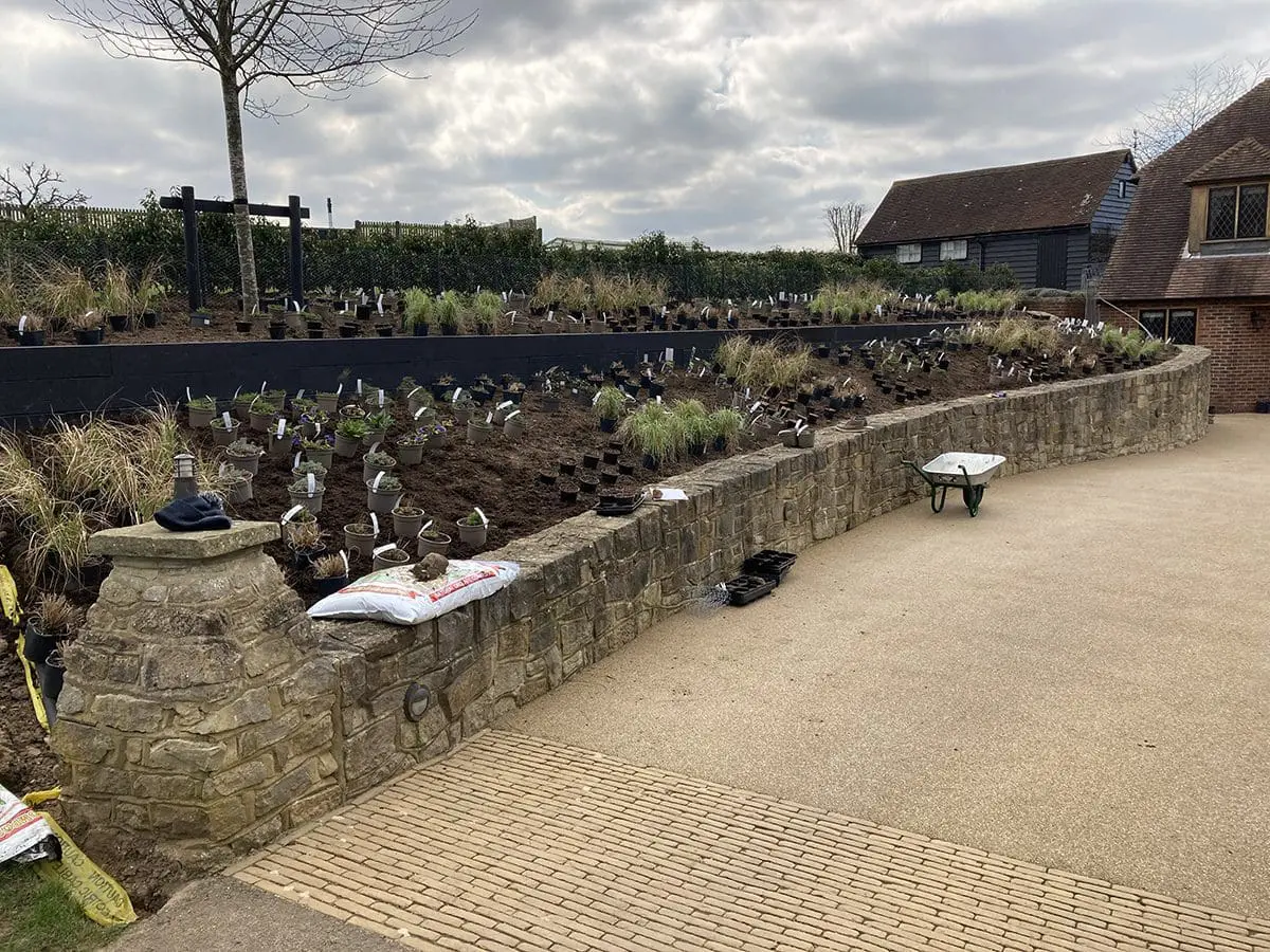 Surrey Borders Maintenance