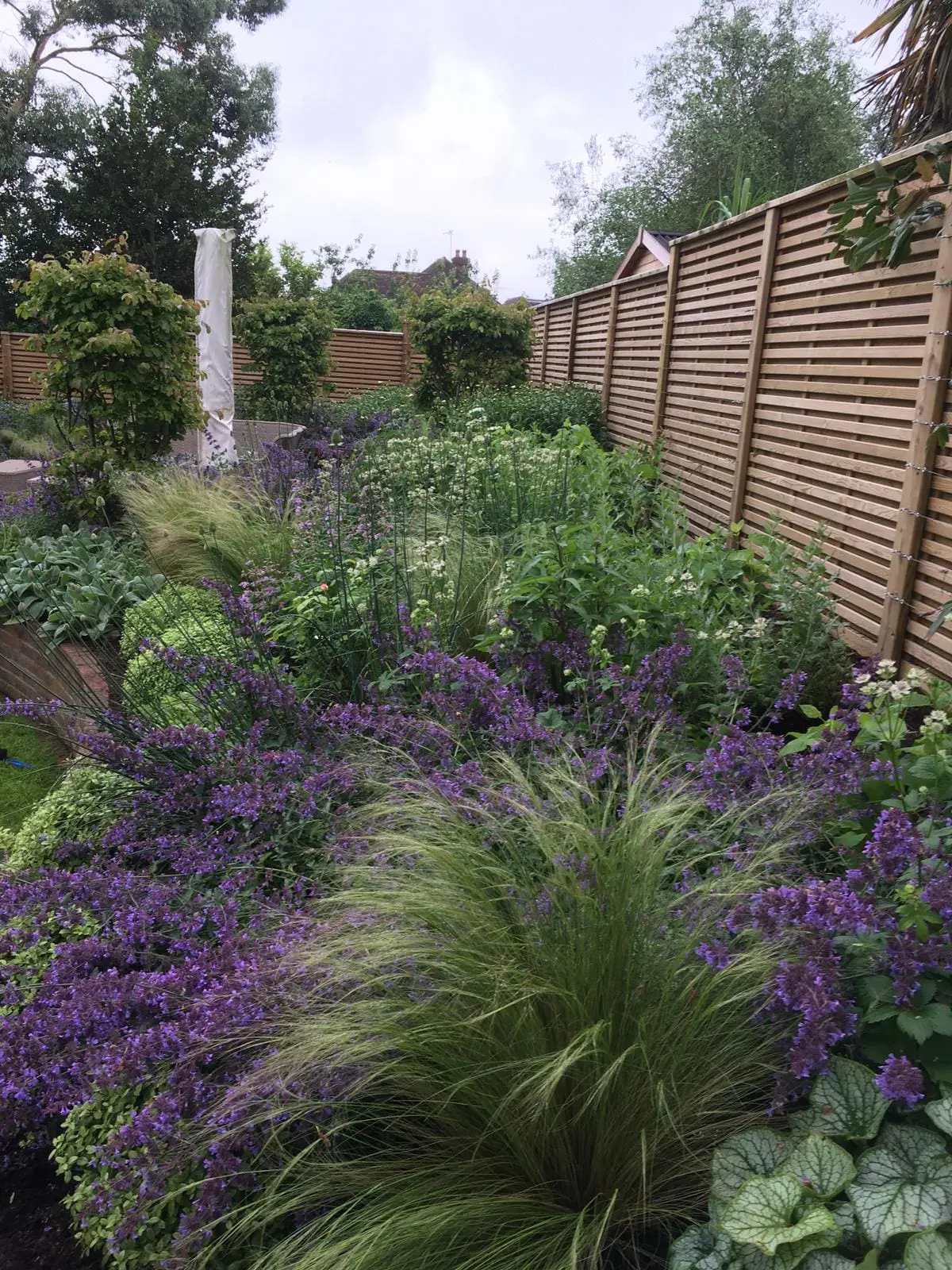 Garden with a View; Guildford, Surrey