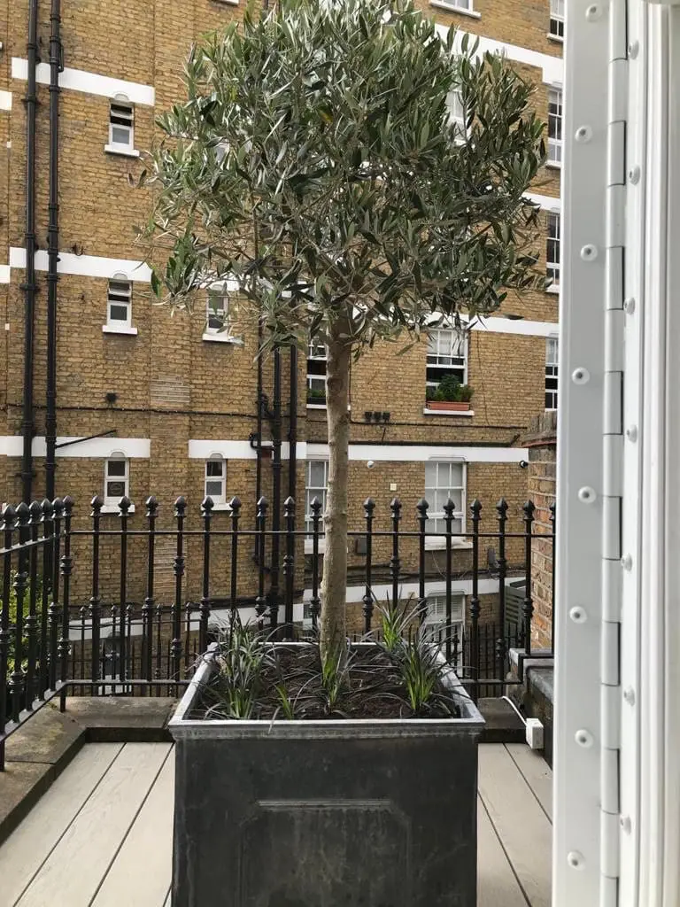 City Living; Chelsea, London
