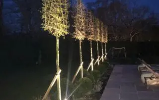 Poolside Relaxation; Oxshott, Surrey