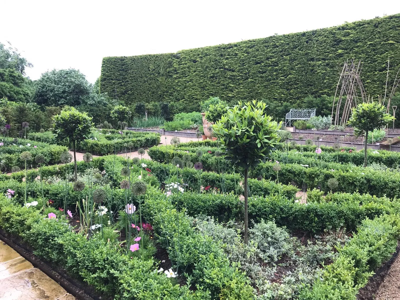 The Kitchen Garden