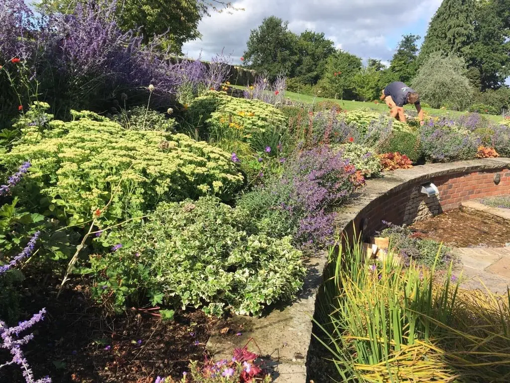 Surrey Borders Maintenance