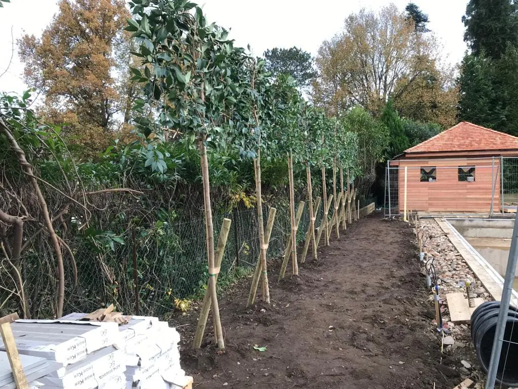 Broadwater Road; Walton-on-Thames, Surrey