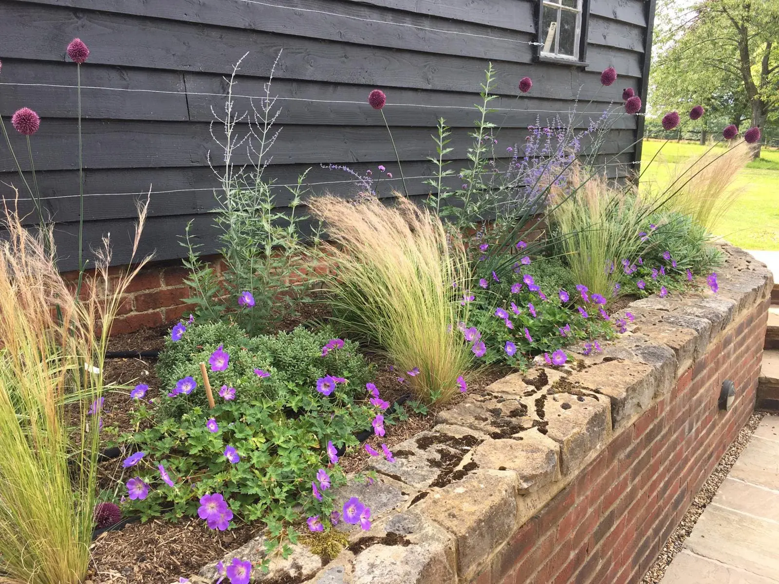 Surrey Borders Maintenance