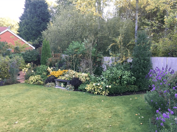 Cranleigh Care; Cranleigh; Surrey