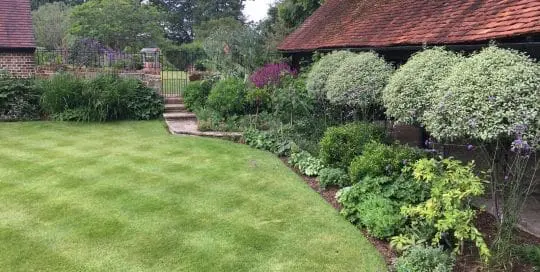 Surrey Borders Maintenance