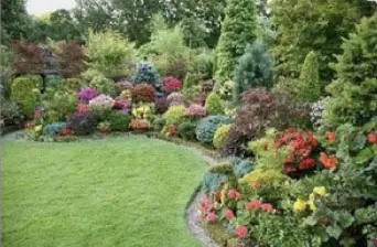 Bushy Business – Fun In The Garden – Issue 74 Bushy Business - Fun In The Garden – Issue 74
