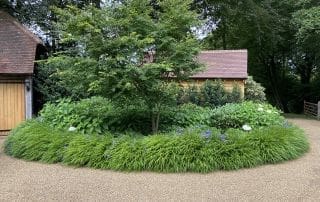 Bushy Business - Surrey Hills Garden; Peaslake, Surrey