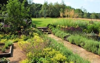 Bushy Business - Surrey Hills Garden; Peaslake, Surrey