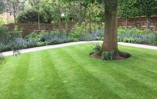 Bushy Business - Surrey Planting Project; Esher, Surrey