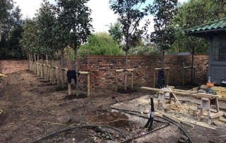 Bushy Business - Surrey Planting Project; Esher, Surrey