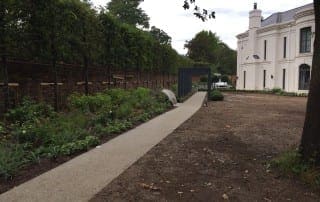 Bushy Business - Surrey Planting Project; Esher, Surrey