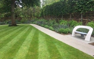 Bushy Business - Surrey Planting Project; Esher, Surrey