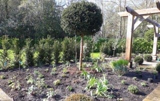 Bushy Business - The Cutting Garden; Farnham, Surrey