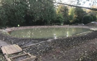 Waterside Tranquillity; Albury, Surrey