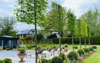 Poolside Relaxation; Oxshott, Surrey