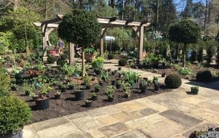 Garden of Reflection; Farnham, Surrey