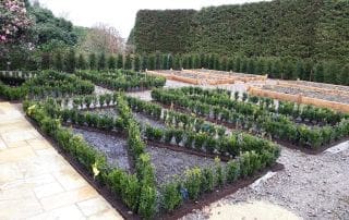 The Kitchen Garden