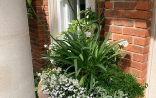 Poolside Relaxation; Oxshott, Surrey