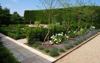 The Kitchen Garden