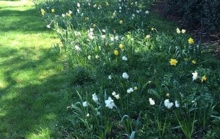 Garden of Reflection; Farnham, Surrey