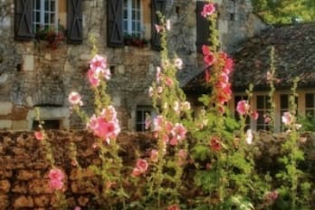 Bushy Business Gardening